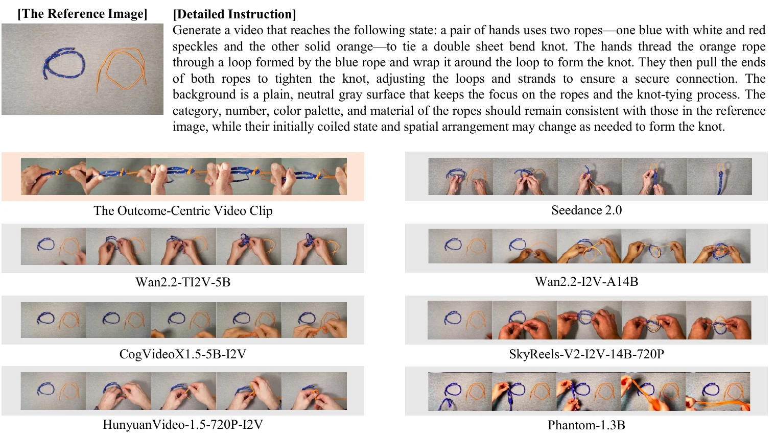 Generated video examples showing successes and failure modes